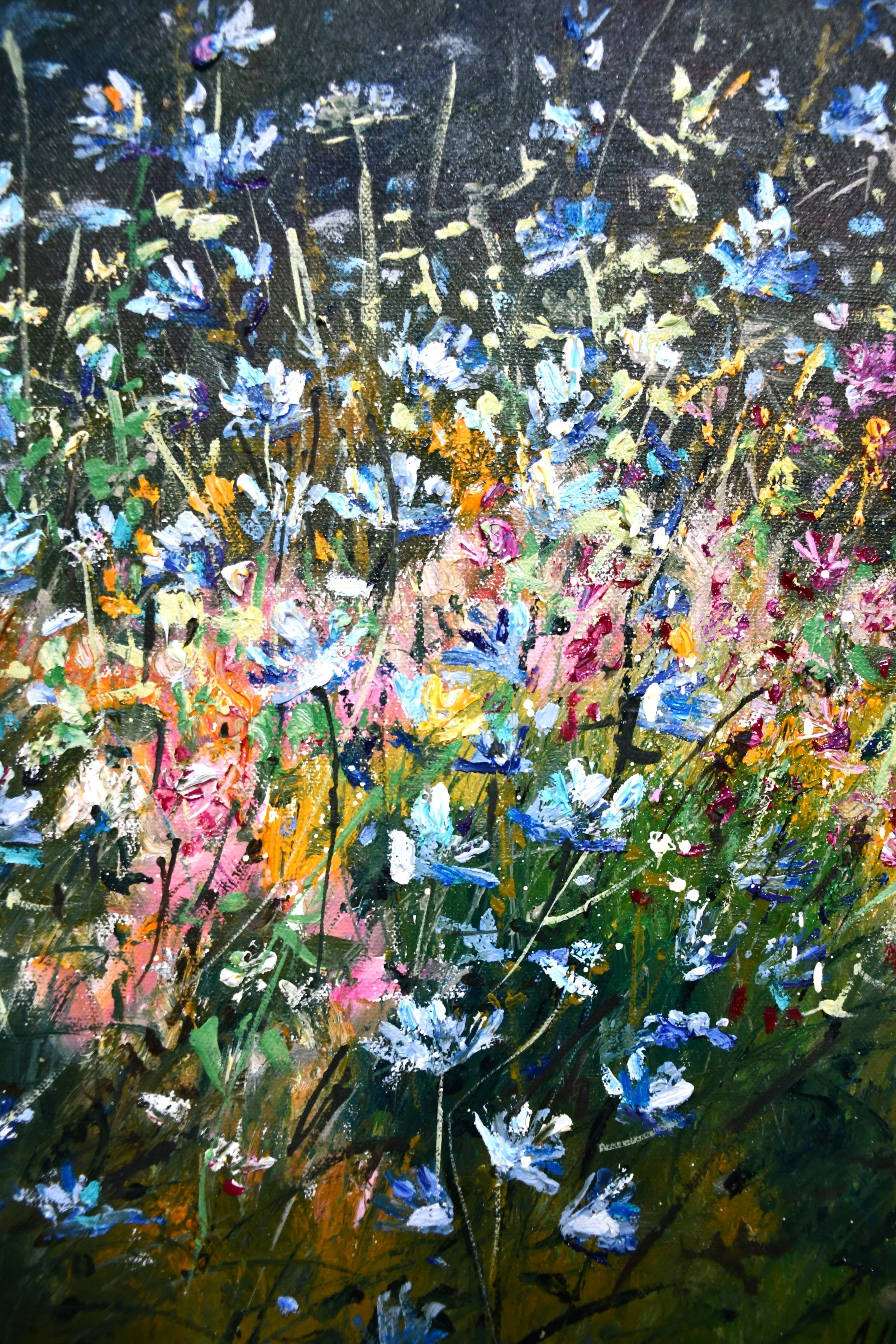 Our Getaway into the Wildness